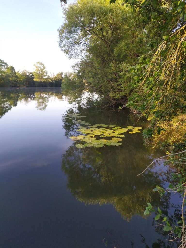 La Saone