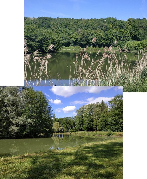baignade en Haute Saone