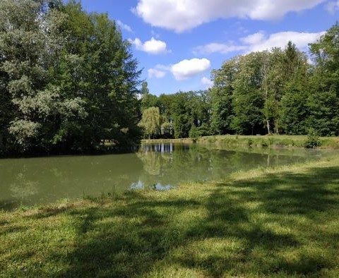Bord de l'eau Haute Saône