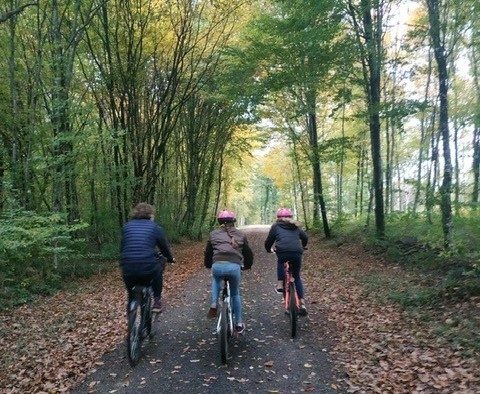 forêt Haute Saône