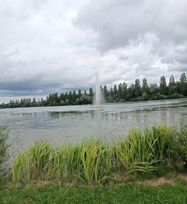 Geyser Haute Saône